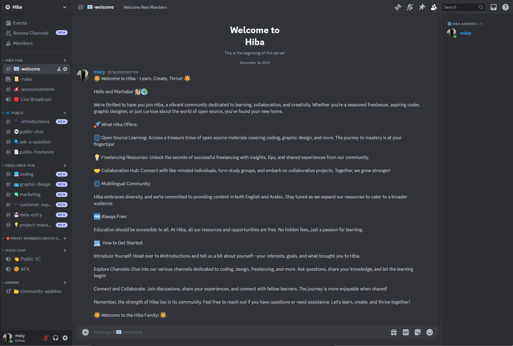 Screenshot of the discord server